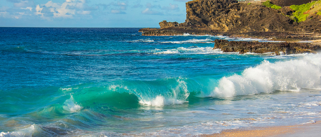 All orders are pre-orders for our upcoming batches. We don’t keep stock of our Gels to ensure every customer receives the freshest product possible.