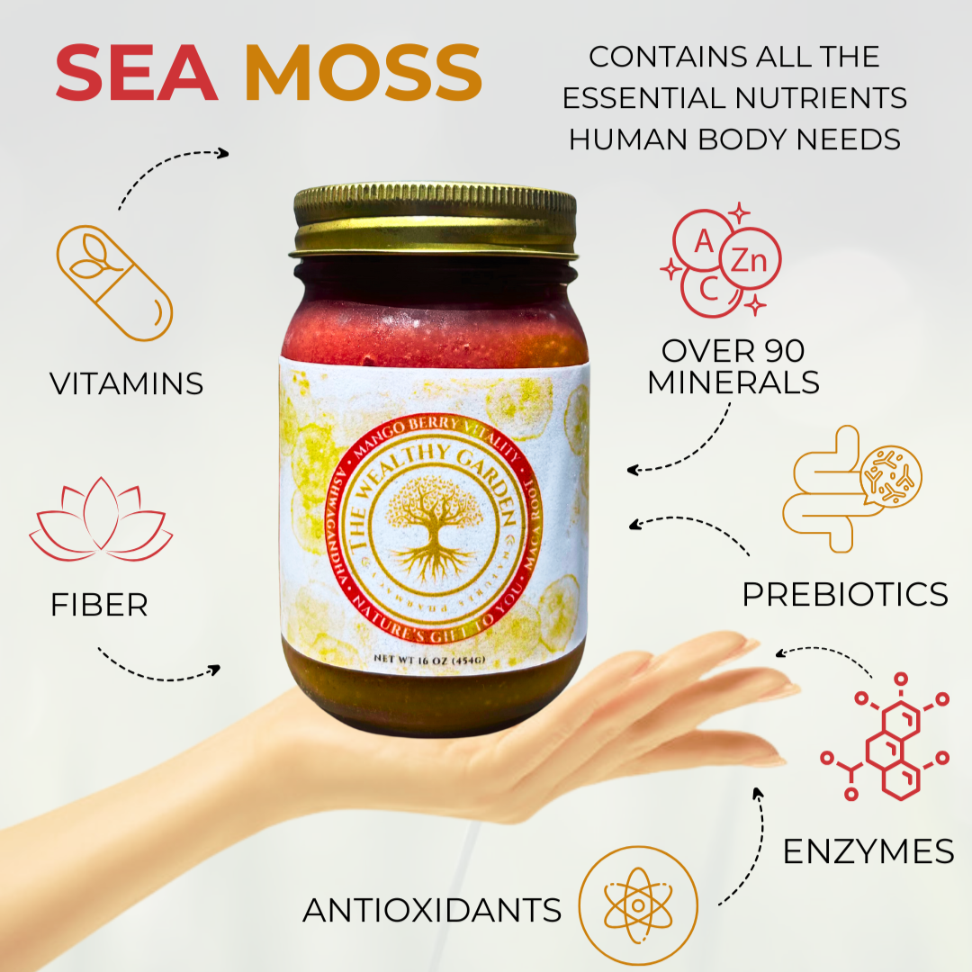 Mango Berry Vitality Plus